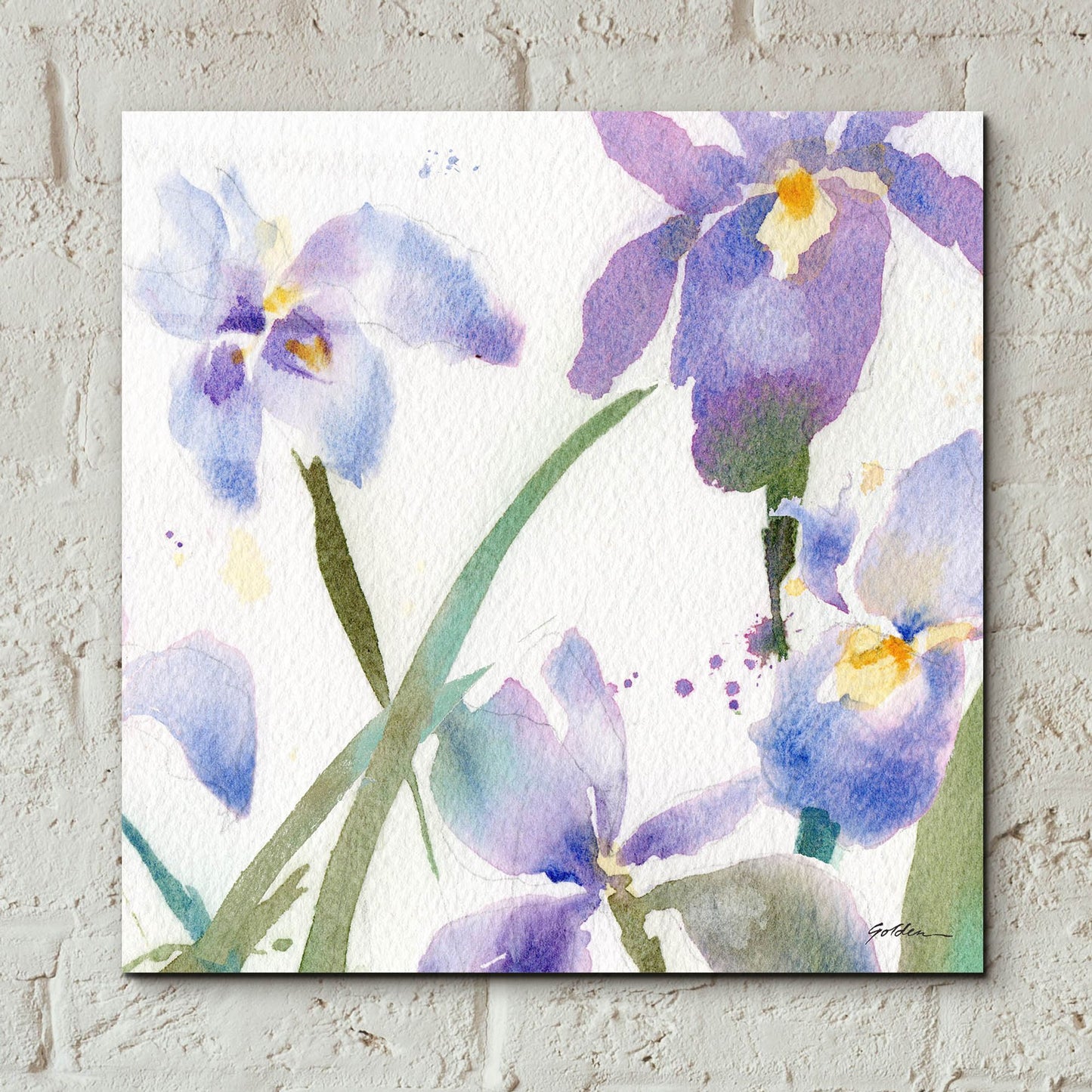 Epic Art 'Irises' by Sheila Golden, Acrylic Glass Wall Art,12x12