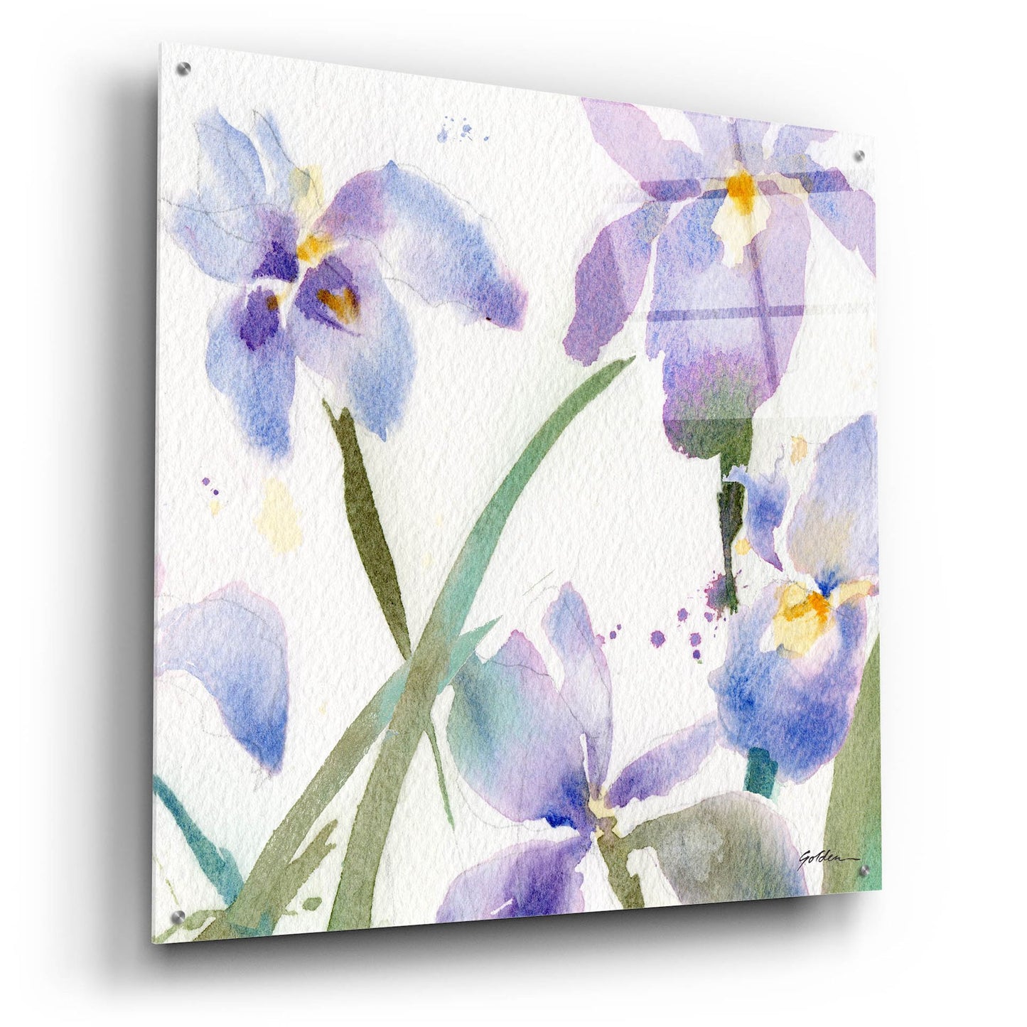 Epic Art 'Irises' by Sheila Golden, Acrylic Glass Wall Art,36x36