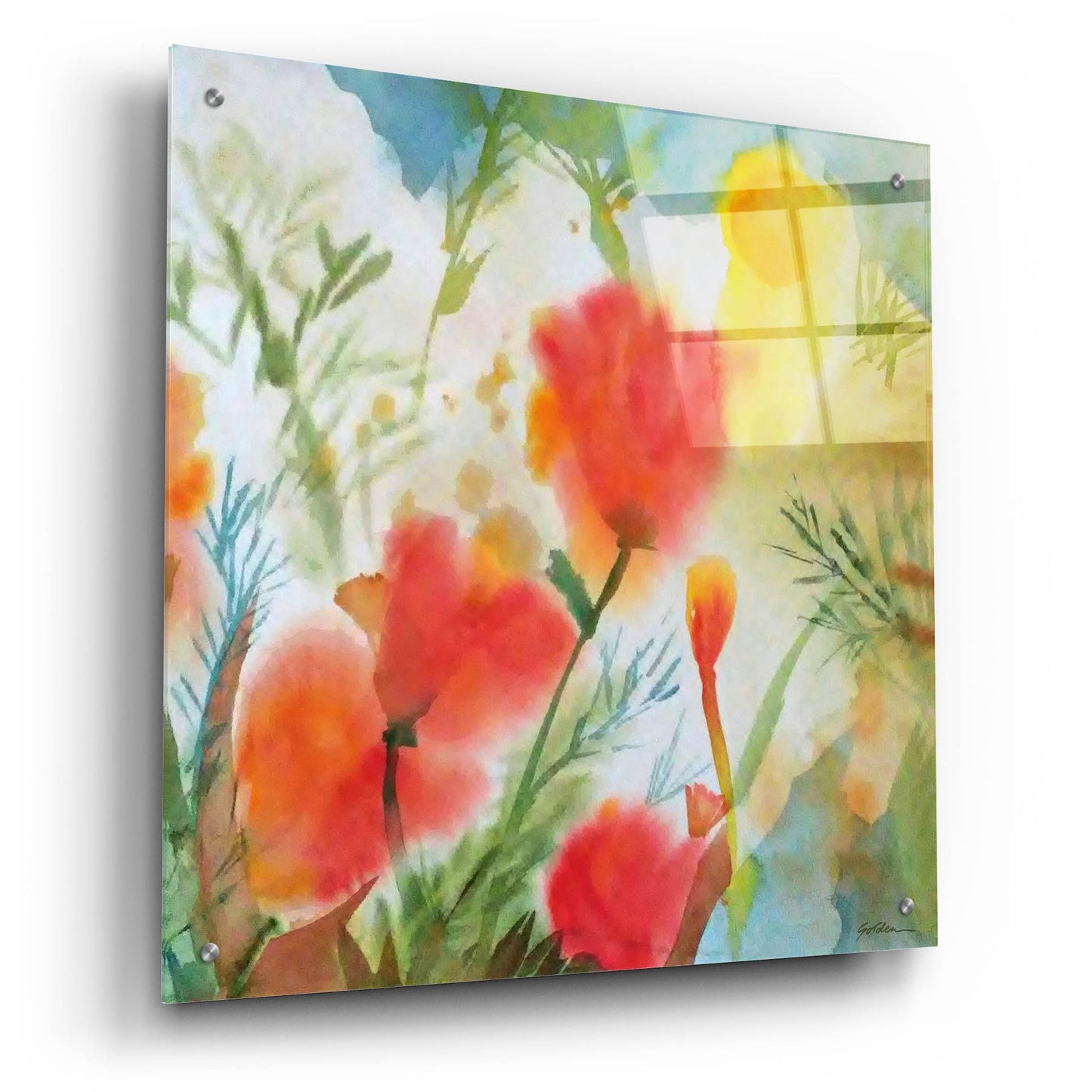 Epic Art 'Orange Poppy Reverie' by Sheila Golden, Acrylic Glass Wall Art,24x24