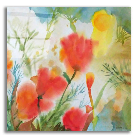 Epic Art 'Orange Poppy Reverie' by Sheila Golden, Acrylic Glass Wall Art