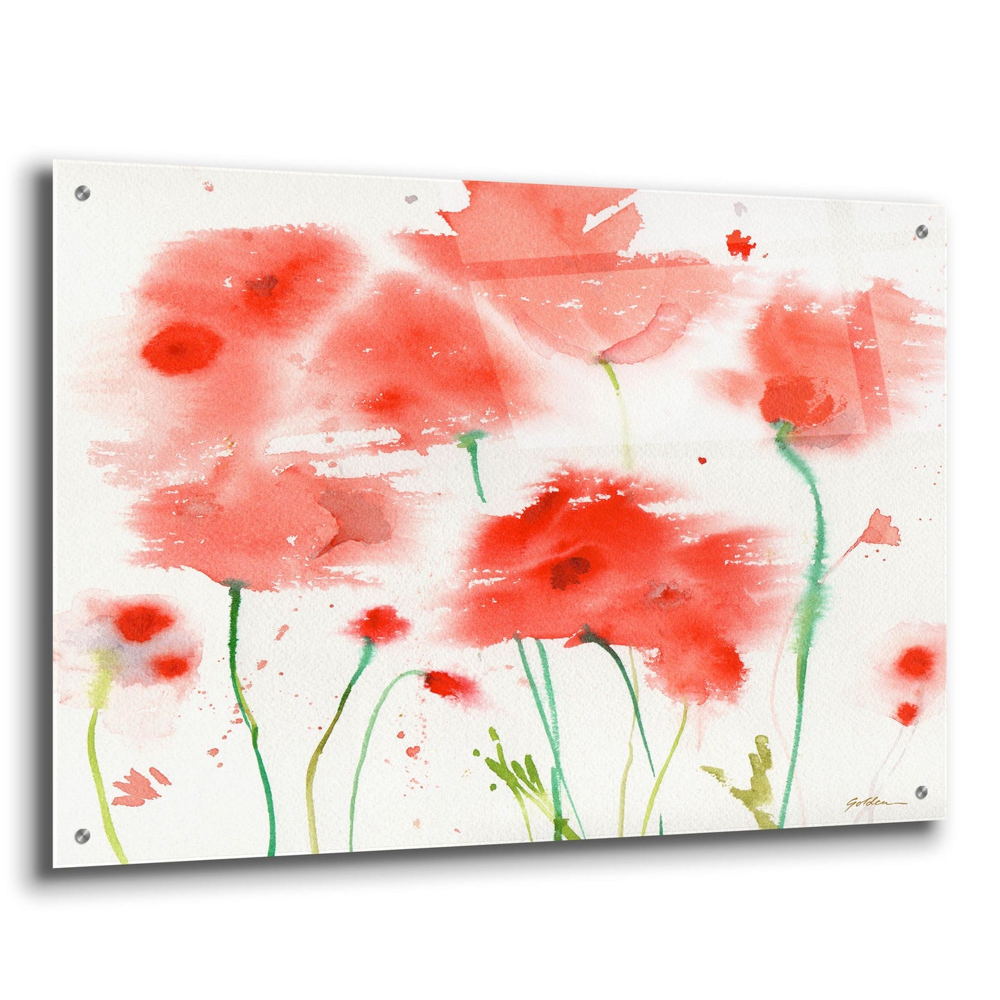 Epic Art 'Poppy Reds' by Sheila Golden, Acrylic Glass Wall Art,36x24