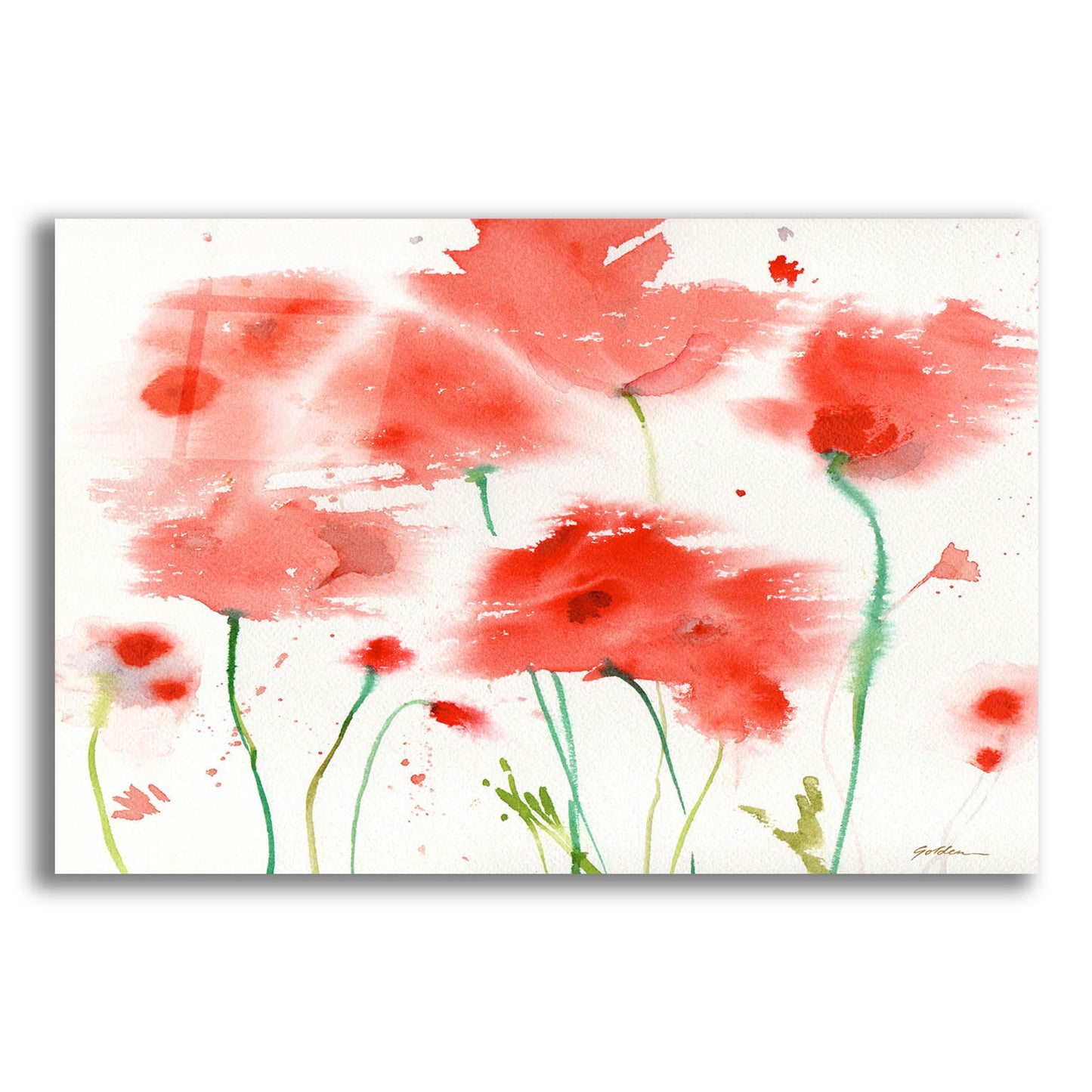 Epic Art 'Poppy Reds' by Sheila Golden, Acrylic Glass Wall Art