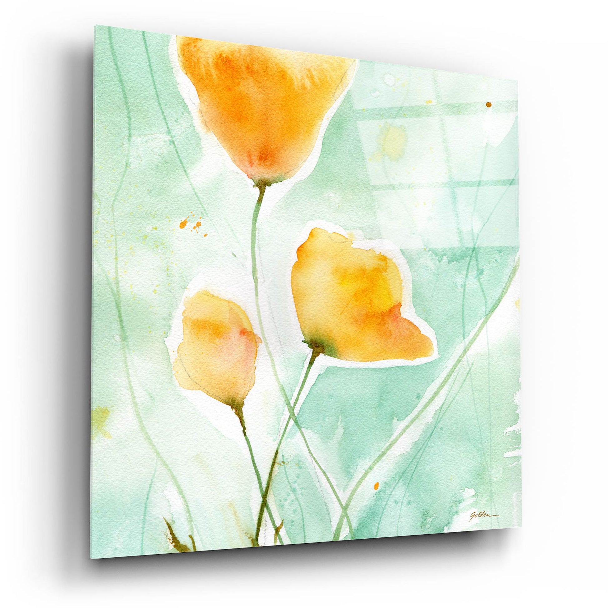 Epic Art 'Precious Poppies' by Sheila Golden, Acrylic Glass Wall Art,12x12