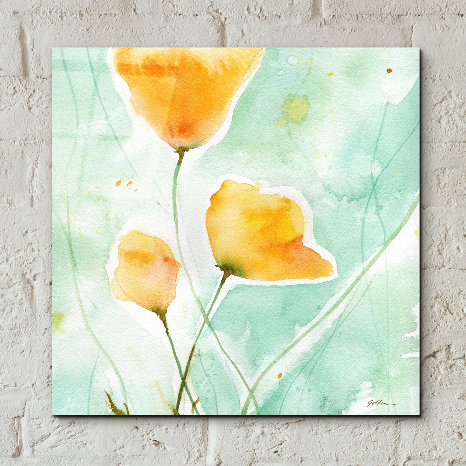 Epic Art 'Precious Poppies' by Sheila Golden, Acrylic Glass Wall Art,12x12