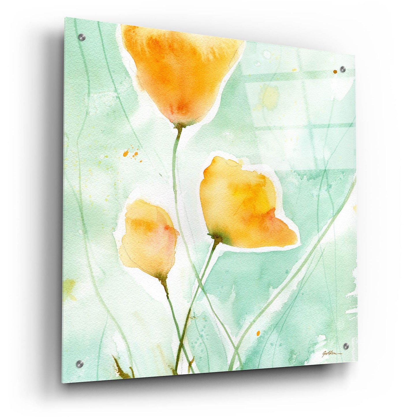 Epic Art 'Precious Poppies' by Sheila Golden, Acrylic Glass Wall Art,24x24