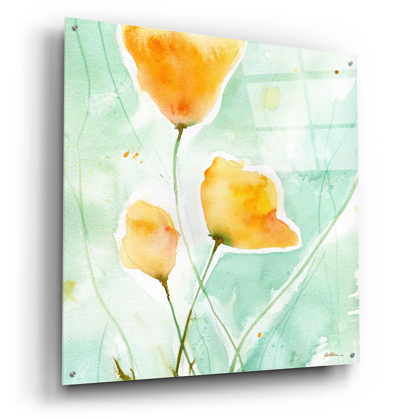 Epic Art 'Precious Poppies' by Sheila Golden, Acrylic Glass Wall Art,36x36