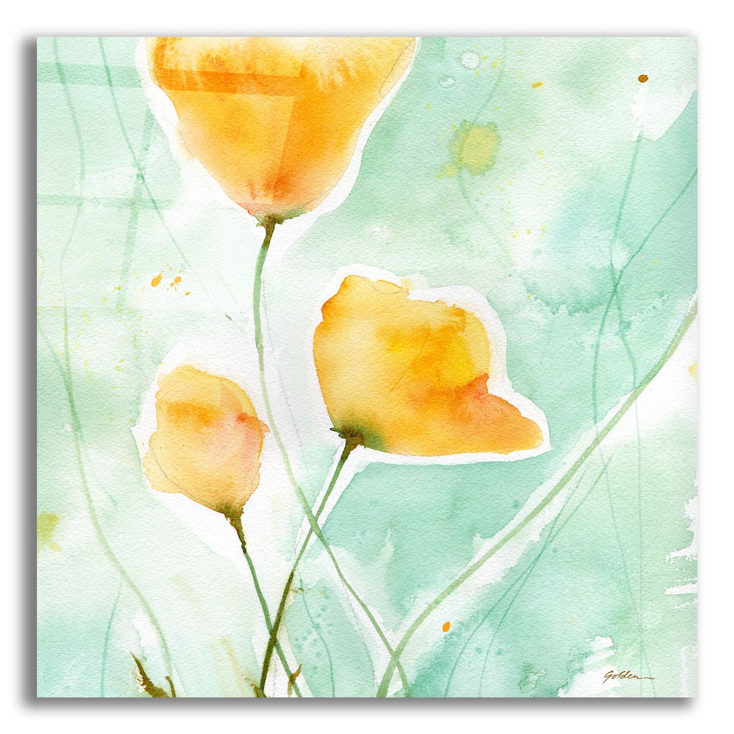 Epic Art 'Precious Poppies' by Sheila Golden, Acrylic Glass Wall Art