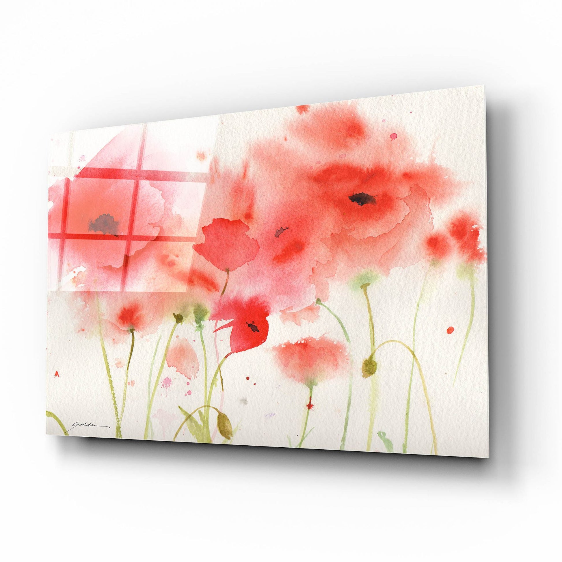 Epic Art 'Red Poppies' by Sheila Golden, Acrylic Glass Wall Art,16x12