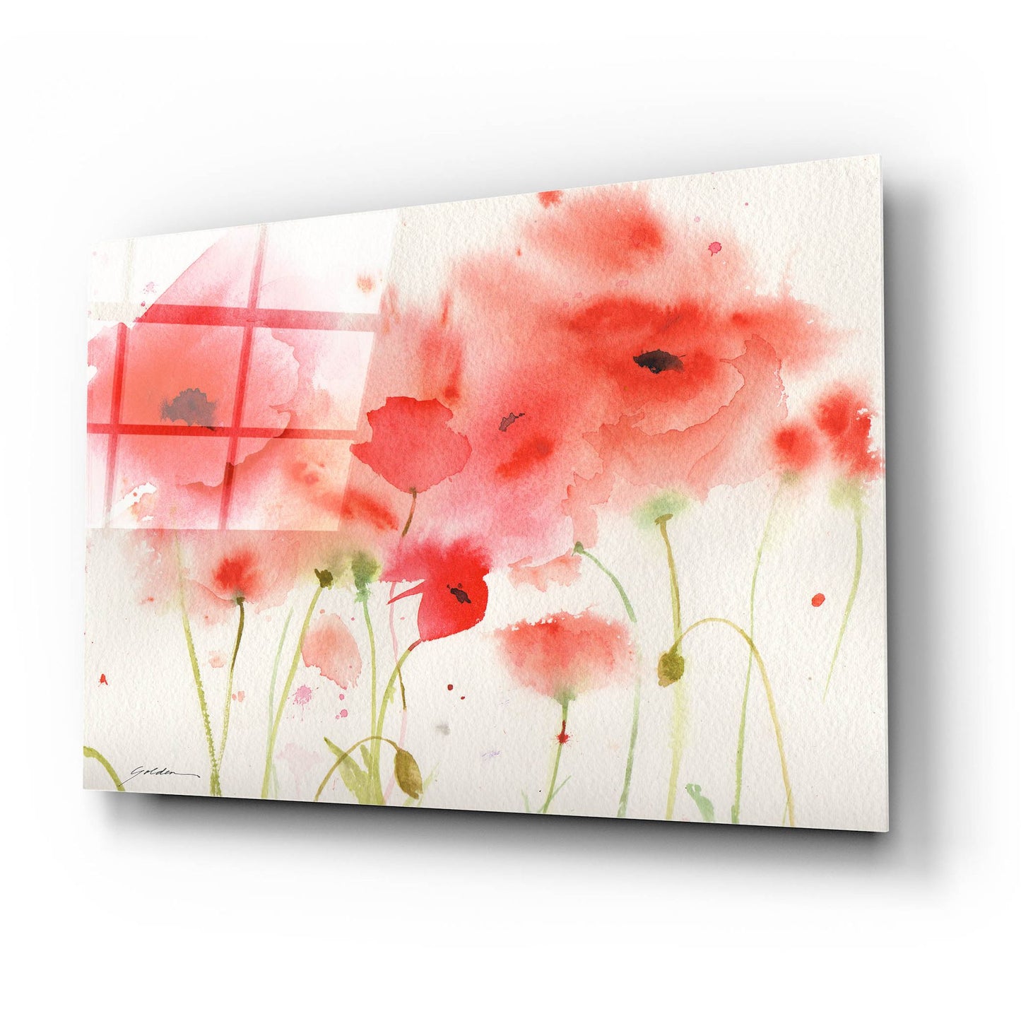 Epic Art 'Red Poppies' by Sheila Golden, Acrylic Glass Wall Art,24x16