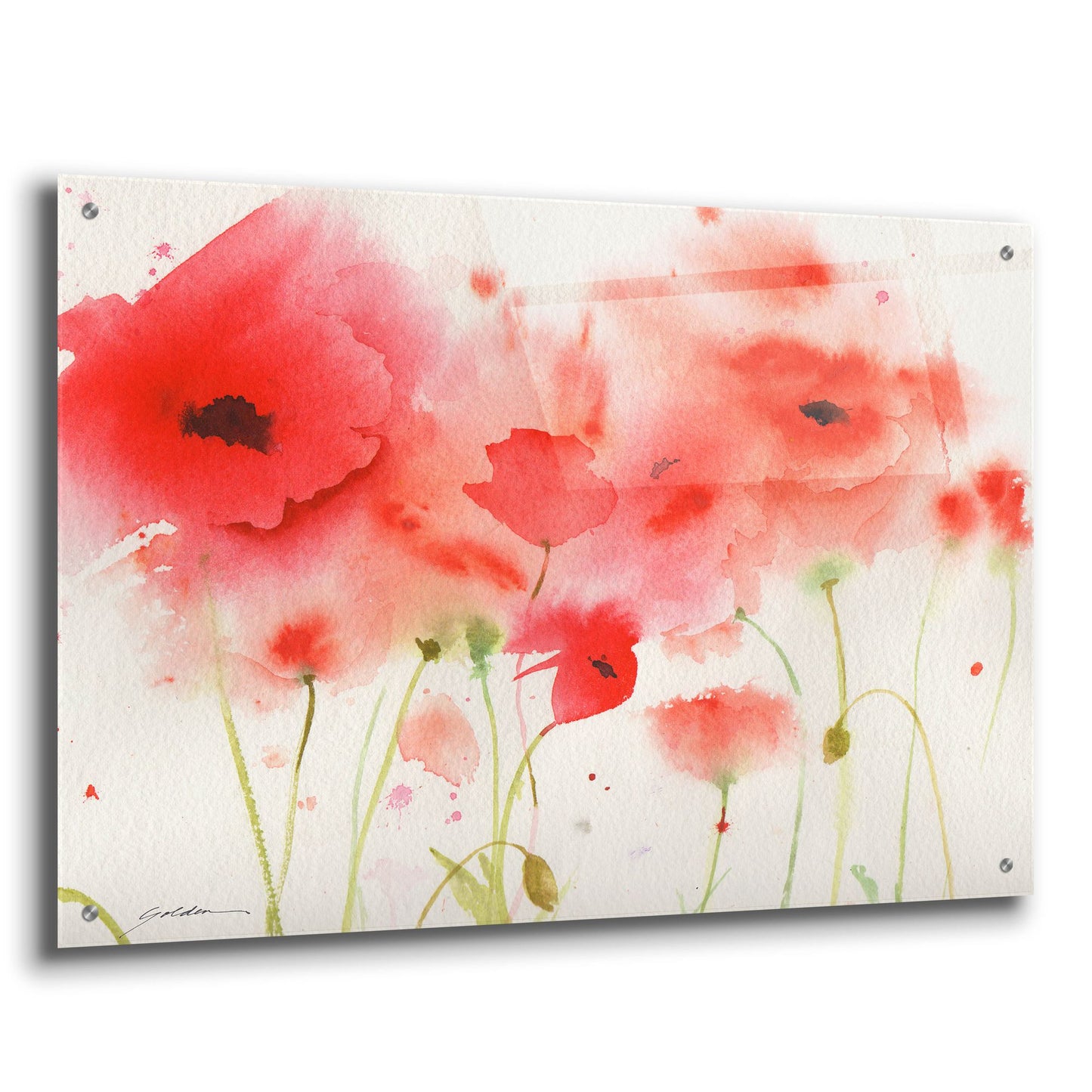 Epic Art 'Red Poppies' by Sheila Golden, Acrylic Glass Wall Art,36x24