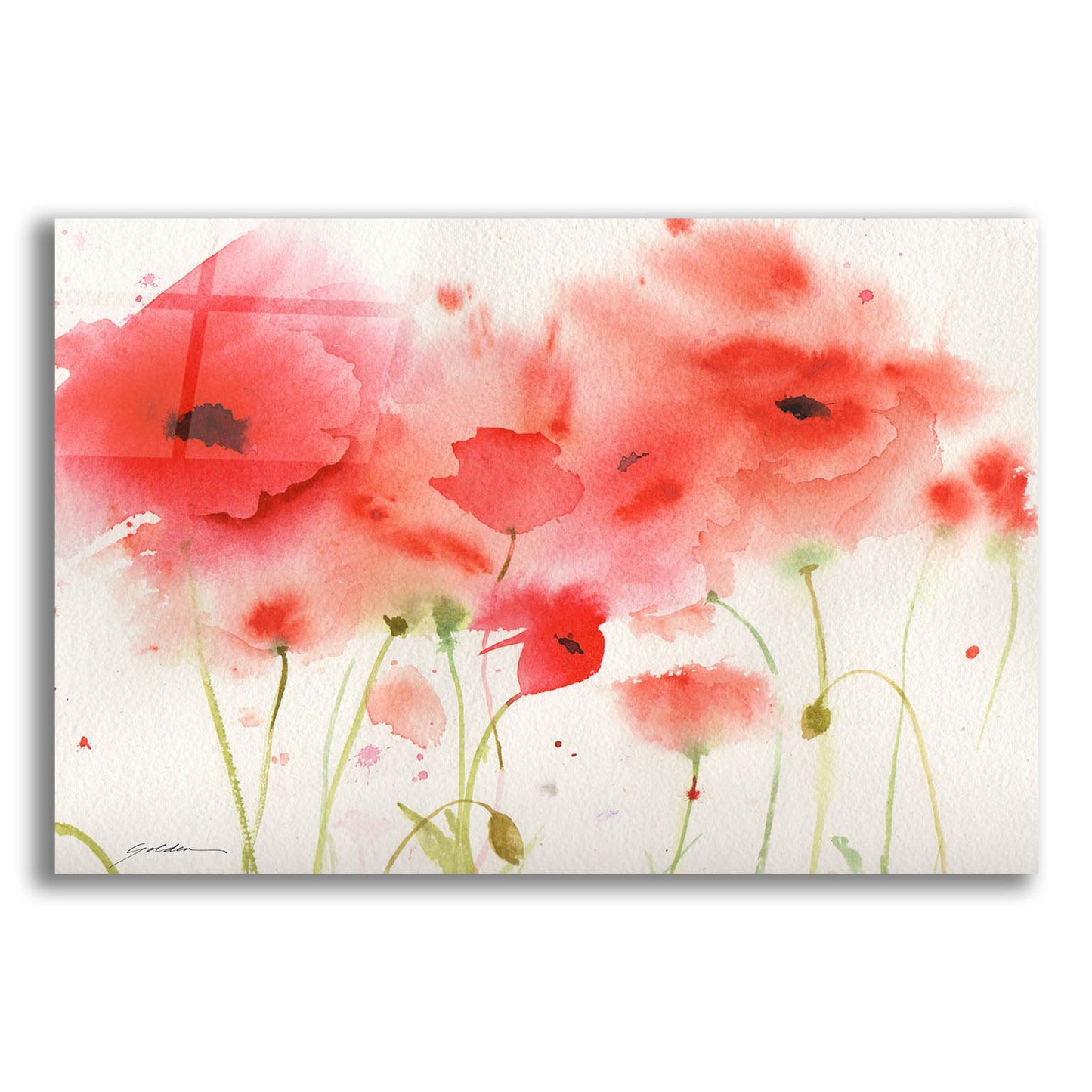 Epic Art 'Red Poppies' by Sheila Golden, Acrylic Glass Wall Art