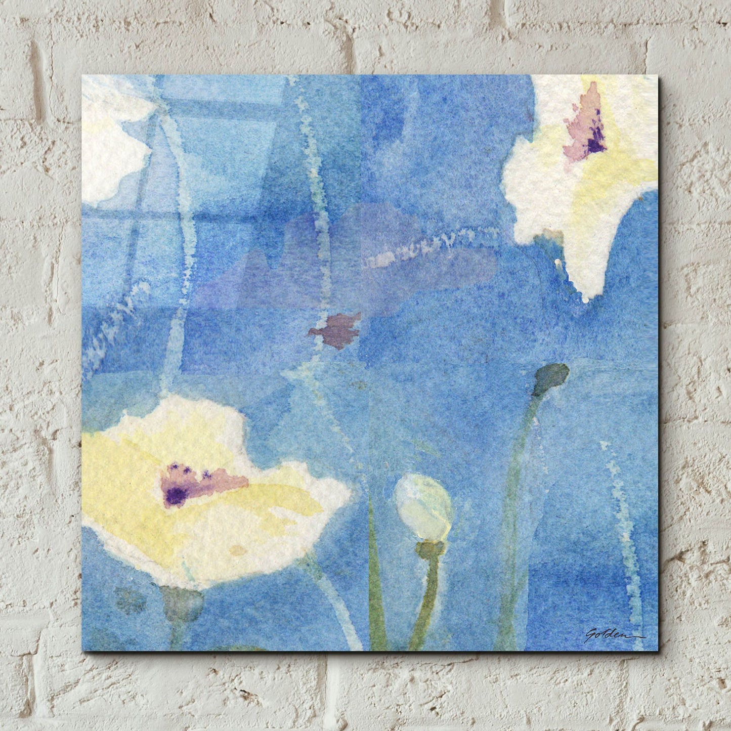 Epic Art 'White Poppy' by Sheila Golden, Acrylic Glass Wall Art,12x12