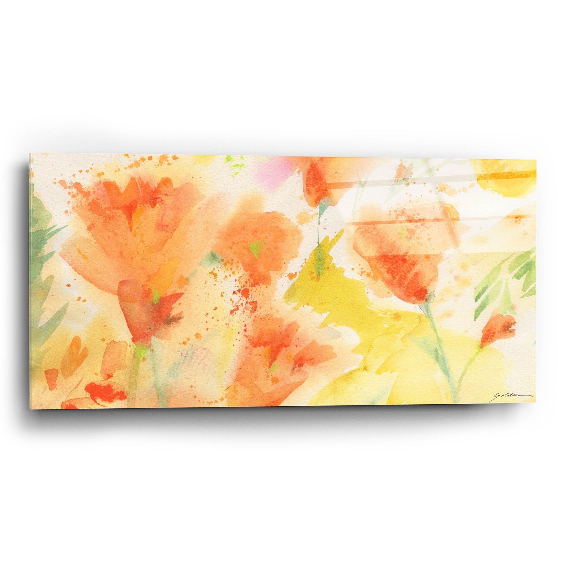 Epic Art 'Windblown Poppies #1' by Sheila Golden, Acrylic Glass Wall Art,24x12