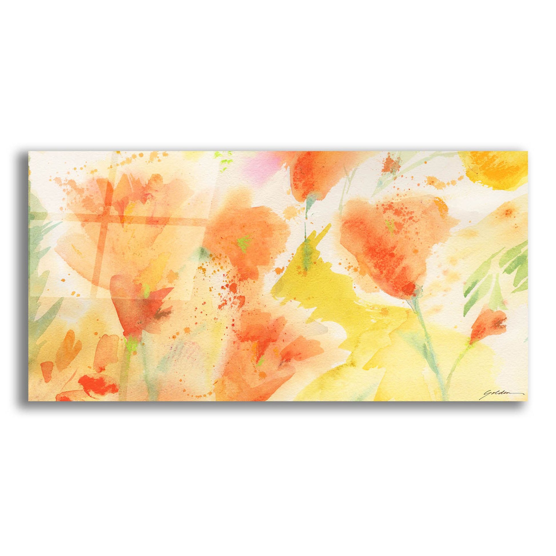 Epic Art 'Windblown Poppies #1' by Sheila Golden, Acrylic Glass Wall Art