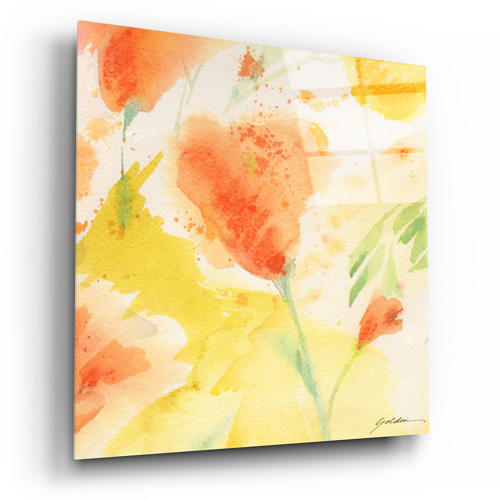 Epic Art 'Windblown Poppies #3' by Sheila Golden, Acrylic Glass Wall Art,12x12