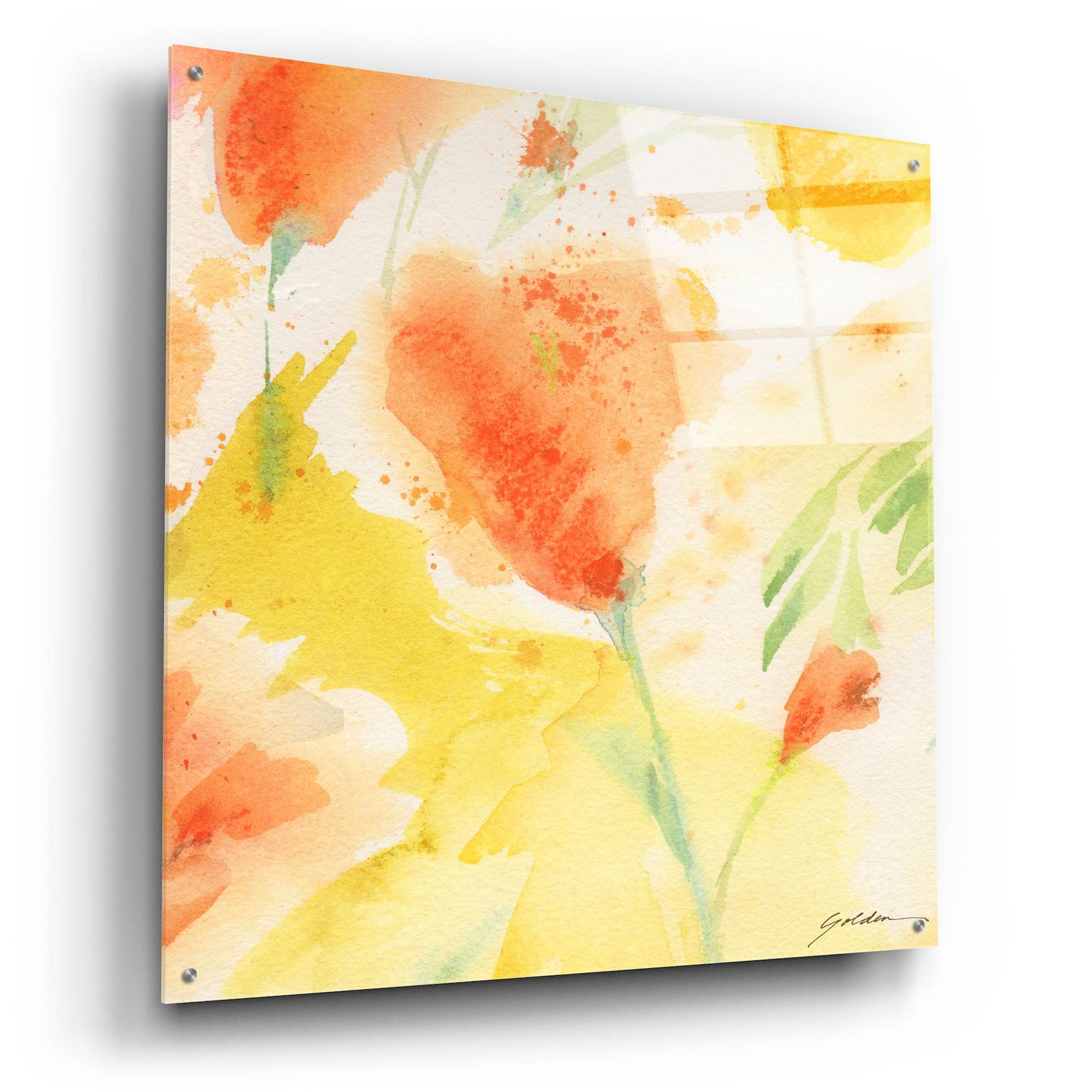 Epic Art 'Windblown Poppies #3' by Sheila Golden, Acrylic Glass Wall Art,36x36