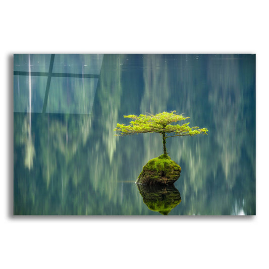 Epic Art 'Fairy Lake Bonsai' by Tim Oldford, Acrylic Glass Wall Art