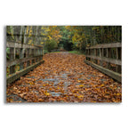 Epic Art 'Fall On The Goose Victoria' by Tim Oldford, Acrylic Glass Wall Art