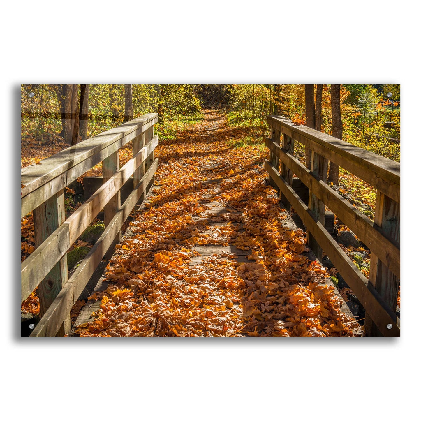 Epic Art 'Fall On The Footbridge' by Tim Oldford, Acrylic Glass Wall Art