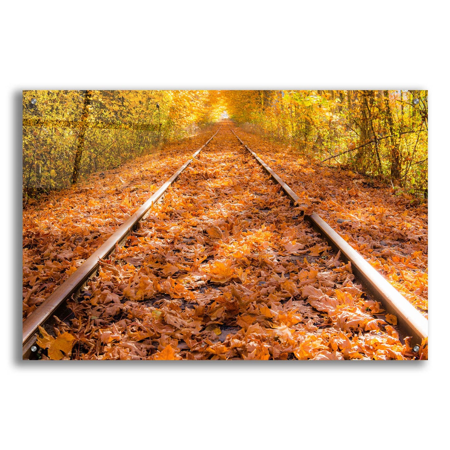 Epic Art 'Train Tracks In The Fall' by Tim Oldford, Acrylic Glass Wall Art