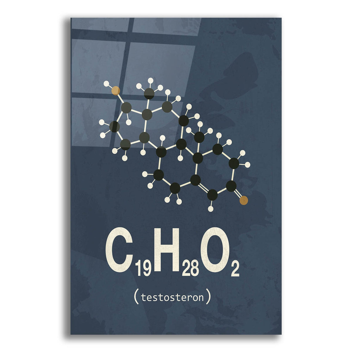 Epic Art 'Molecule Testosterone 2' by Typelike, Acrylic Glass Wall Art