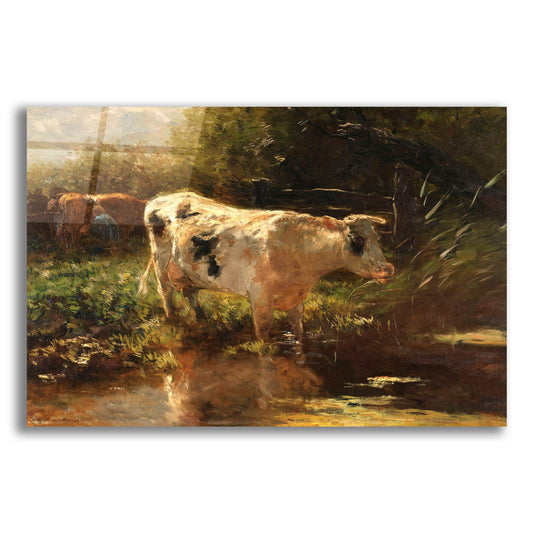 Epic Art 'Cow Beside A Ditch' by Willem Maris, Acrylic Glass Wall Art