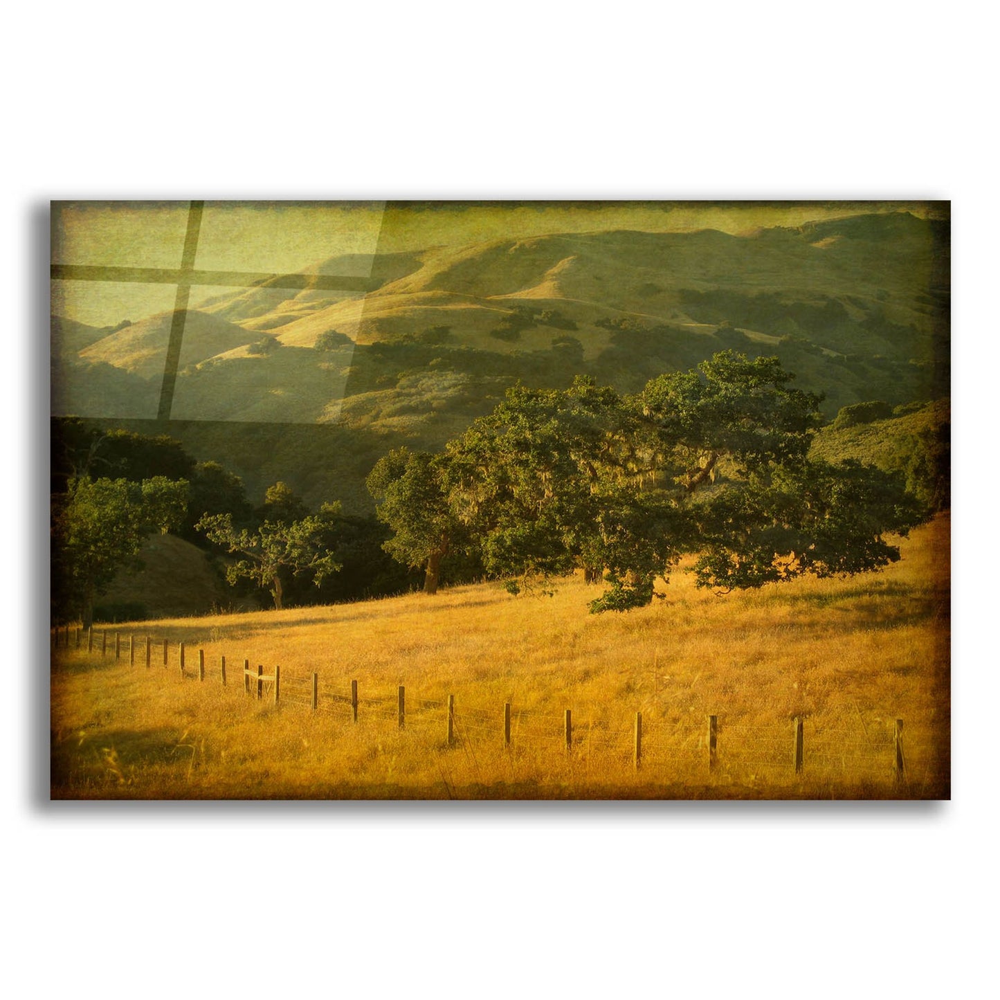 Epic Art 'Oak And Fence' by William Guion, Acrylic Glass Wall Art