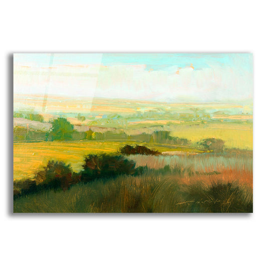 Epic Art 'Morning Mist' by William Mccarthy, Acrylic Glass Wall Art