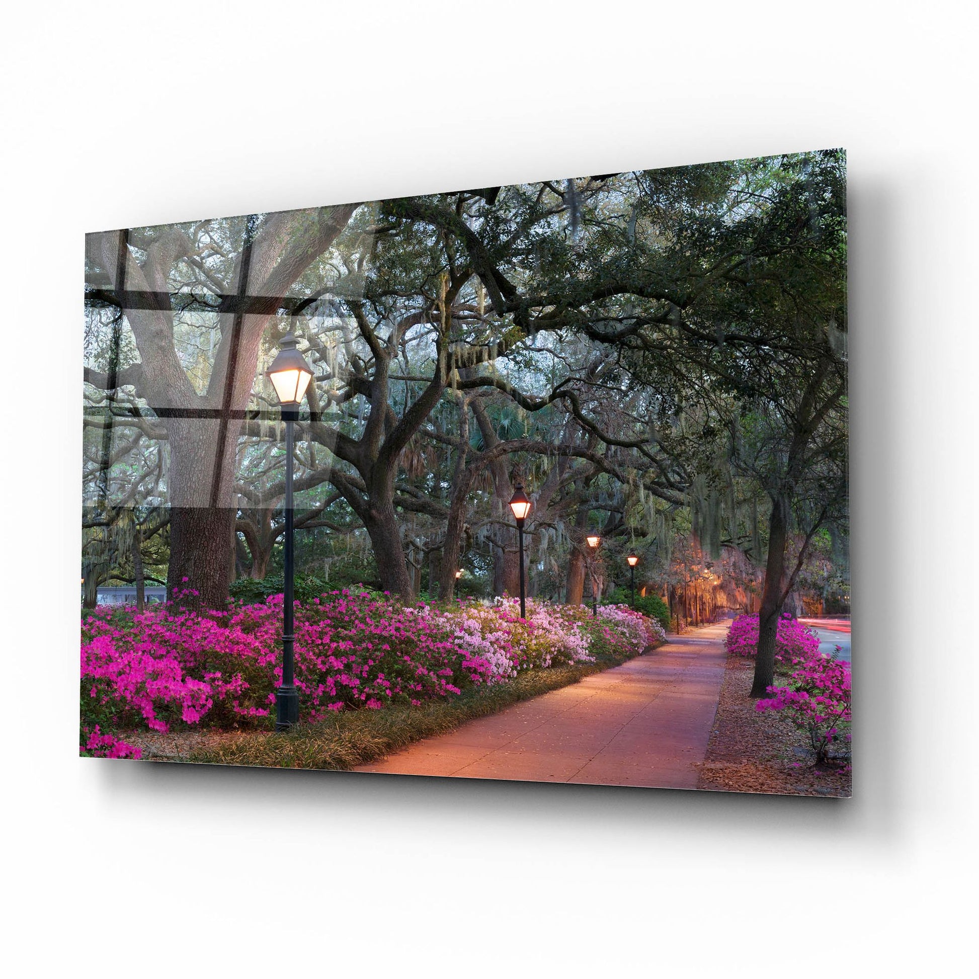 Epic Art 'Forsythe Park' by Winthrope Hiers, Acrylic Glass Wall Art,16x12