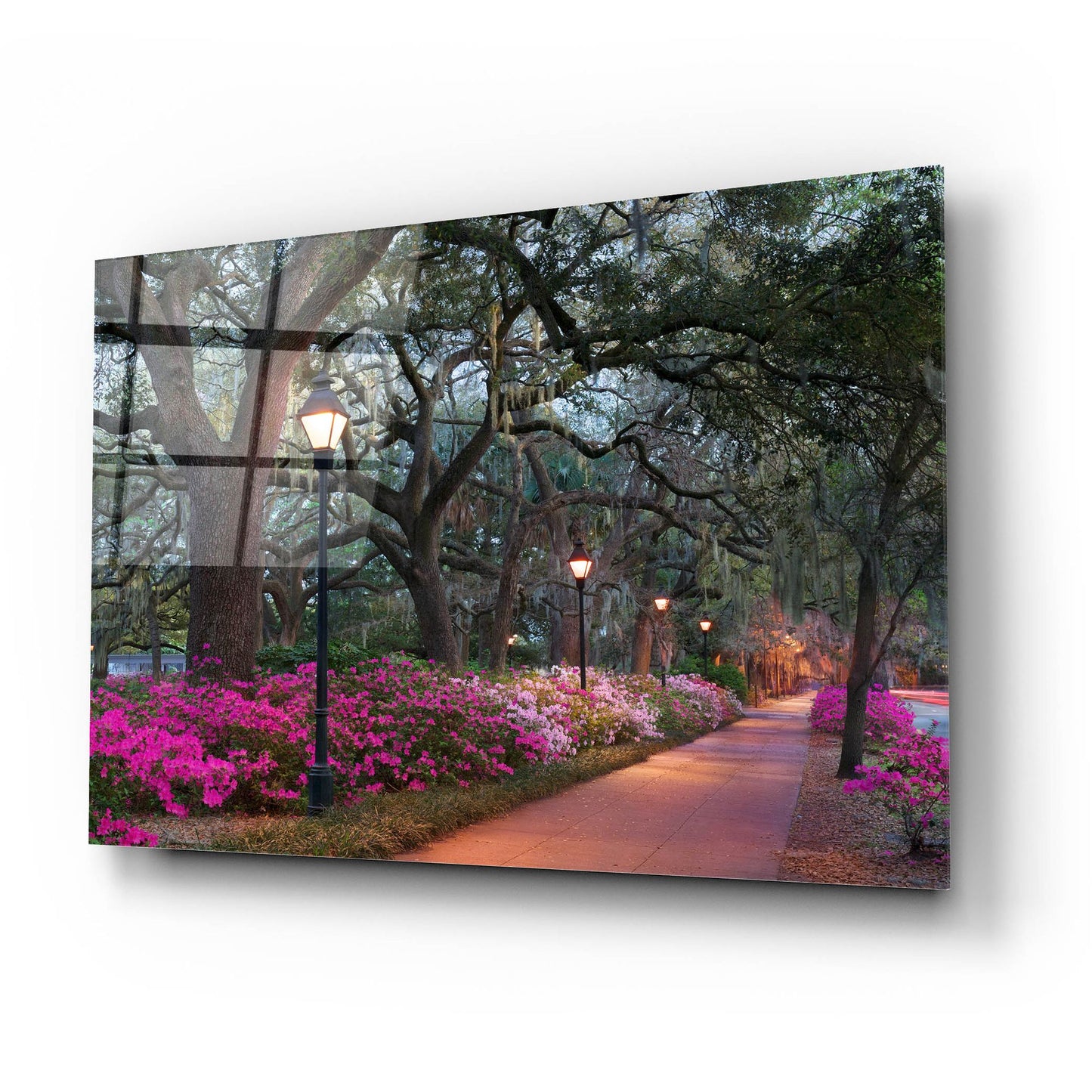 Epic Art 'Forsythe Park' by Winthrope Hiers, Acrylic Glass Wall Art,24x16