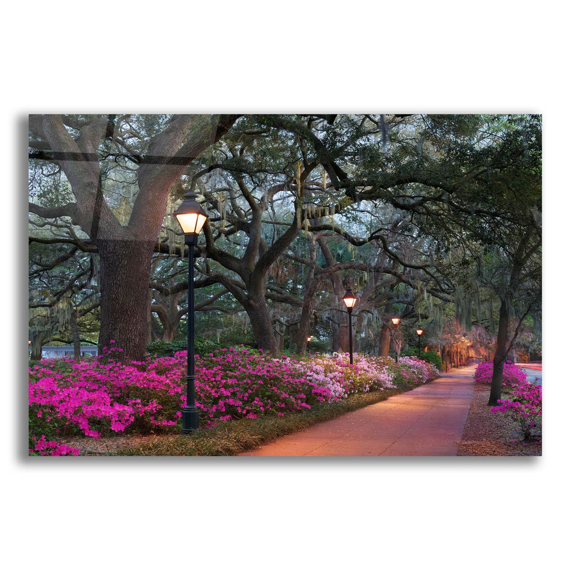 Epic Art 'Forsythe Park' by Winthrope Hiers, Acrylic Glass Wall Art,24x16