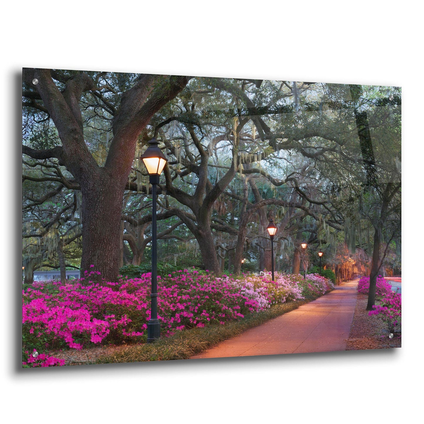 Epic Art 'Forsythe Park' by Winthrope Hiers, Acrylic Glass Wall Art,36x24