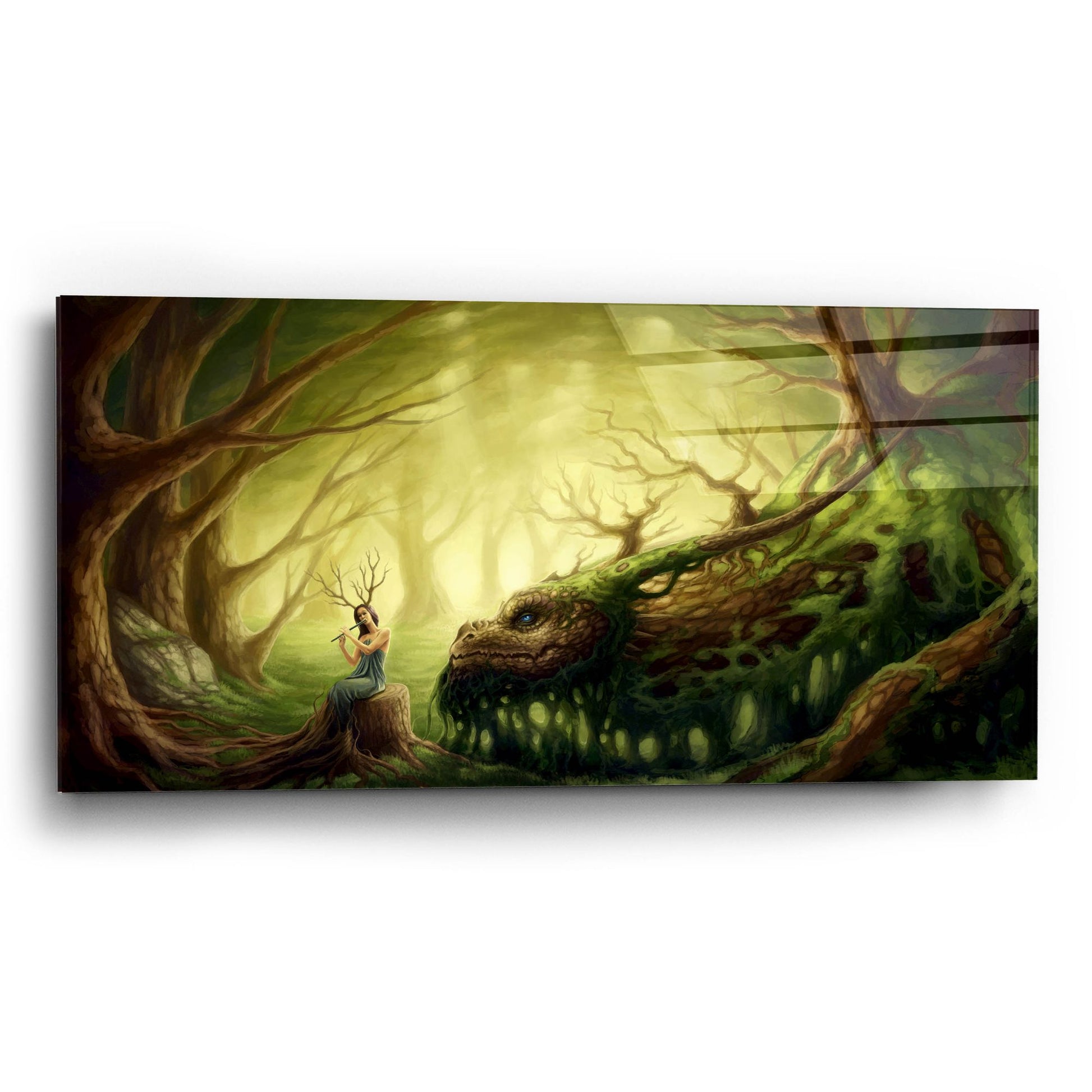 Epic Art 'Forgotten Fairytales' by JoJoesArt, Acrylic Glass Wall Art,24x12