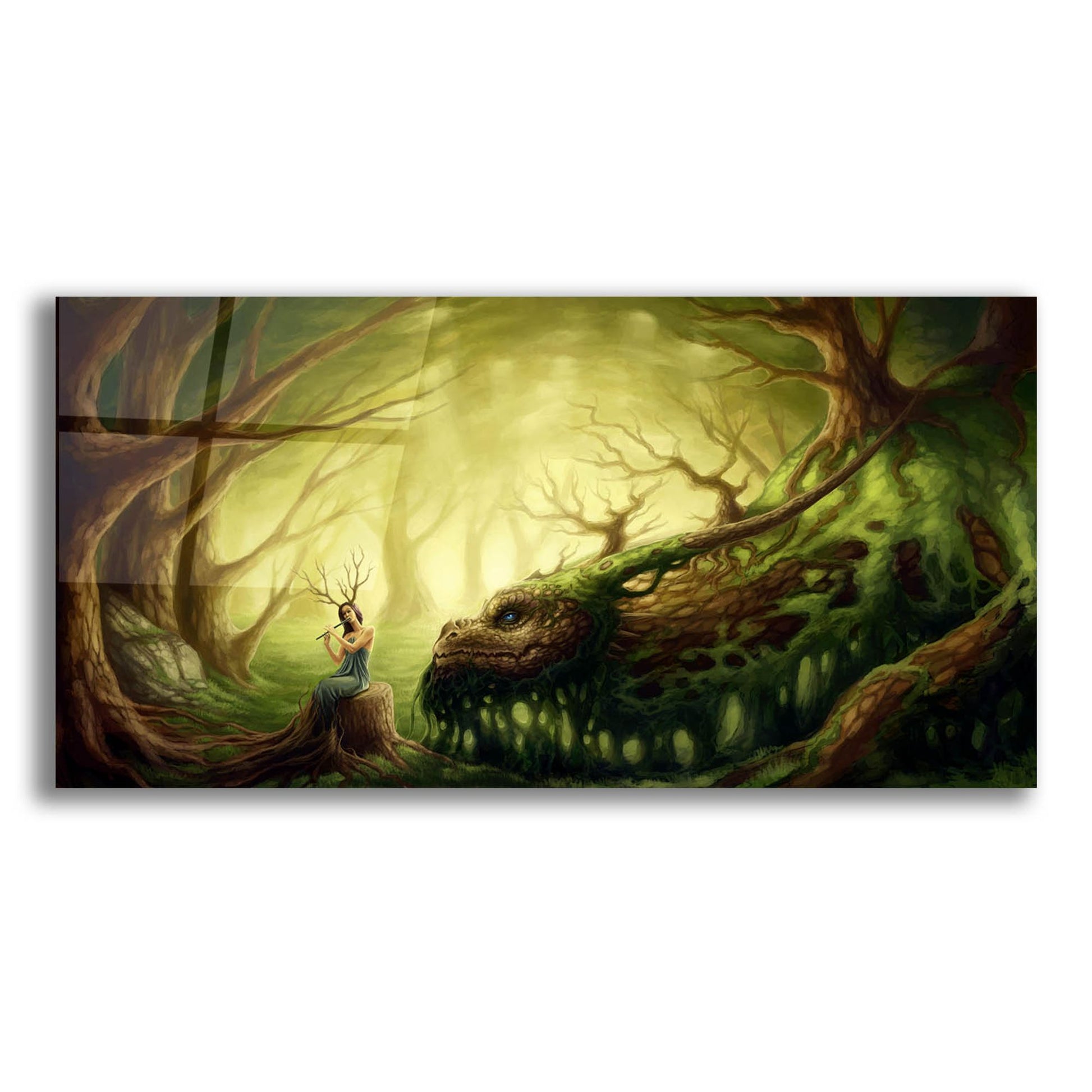 Epic Art 'Forgotten Fairytales' by JoJoesArt, Acrylic Glass Wall Art,24x12