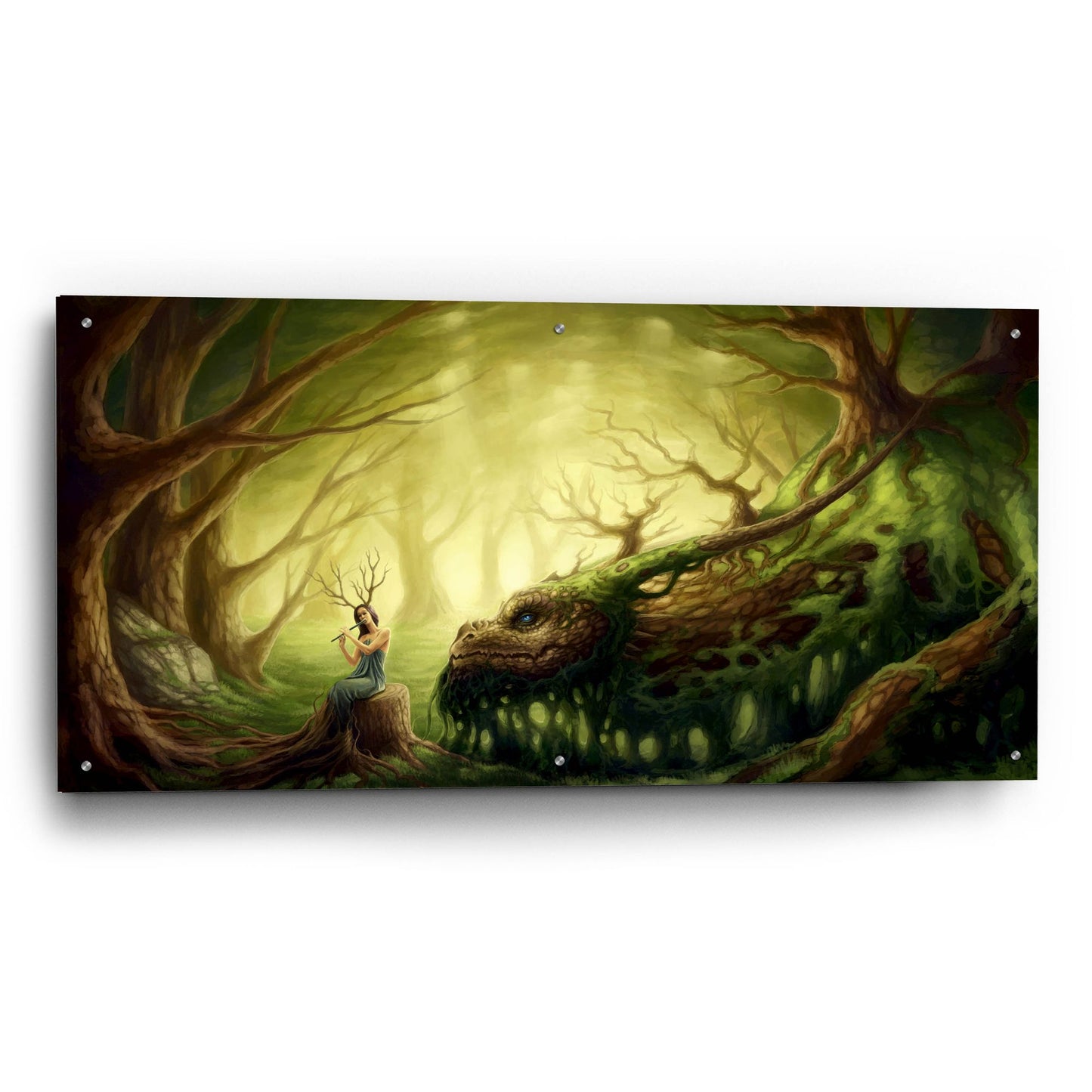 Epic Art 'Forgotten Fairytales' by JoJoesArt, Acrylic Glass Wall Art,48x24