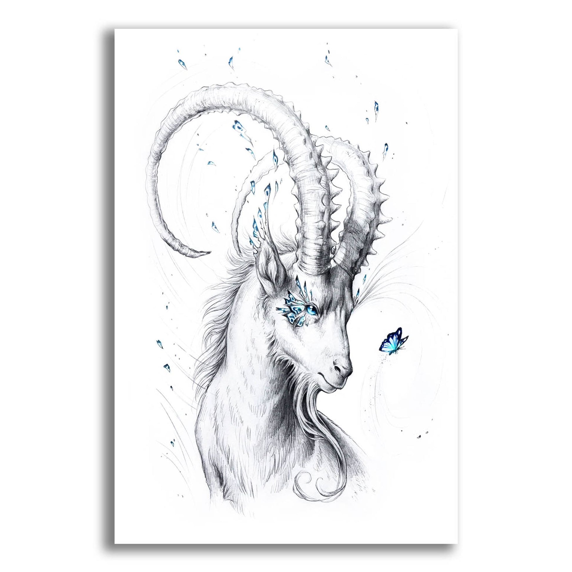 Epic Art 'Capricorn' by JoJoesArt, Acrylic Glass Wall Art,12x16