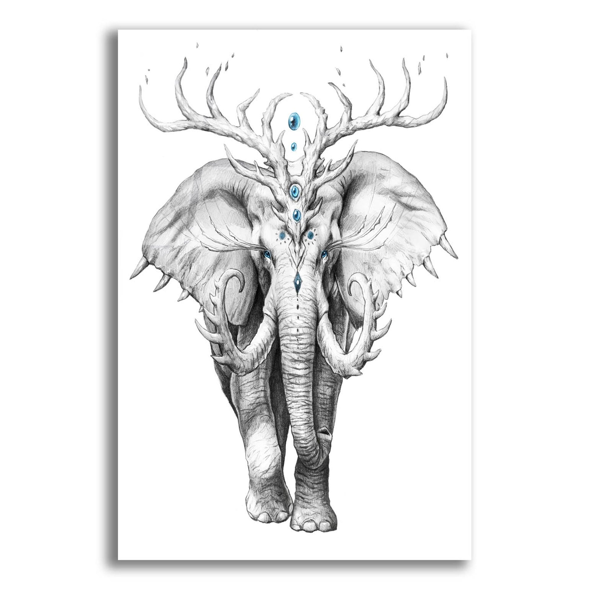 Epic Art 'Elephant Soul' by JoJoesArt, Acrylic Glass Wall Art,12x16