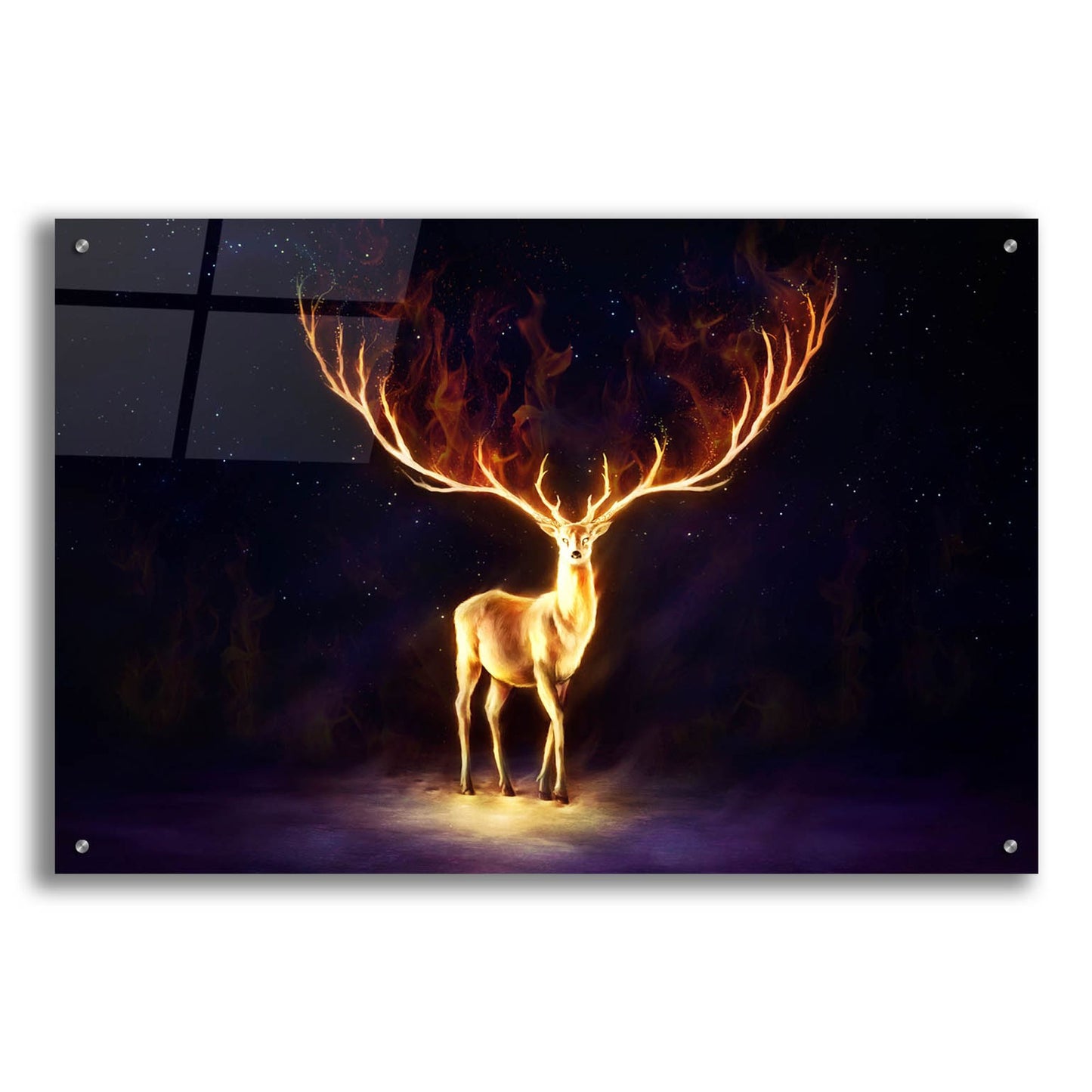 Epic Art 'Firewalker' by JoJoesArt, Acrylic Glass Wall Art,36x24