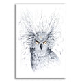 Epic Art 'Owl' by JoJoesArt, Acrylic Glass Wall Art