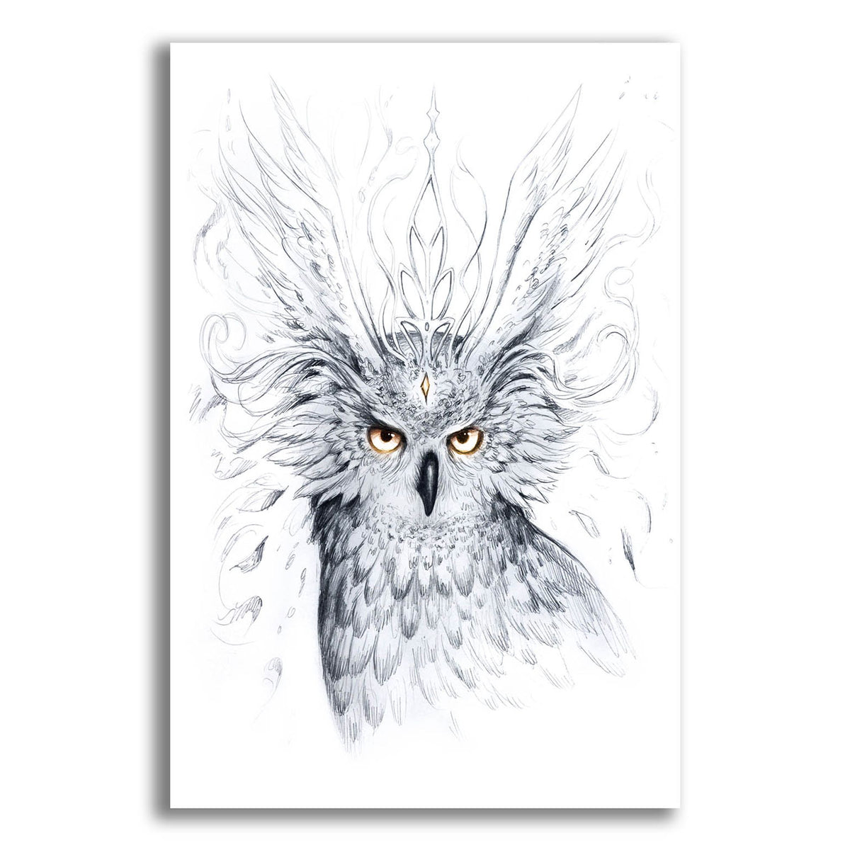 Epic Art 'Owl' by JoJoesArt, Acrylic Glass Wall Art