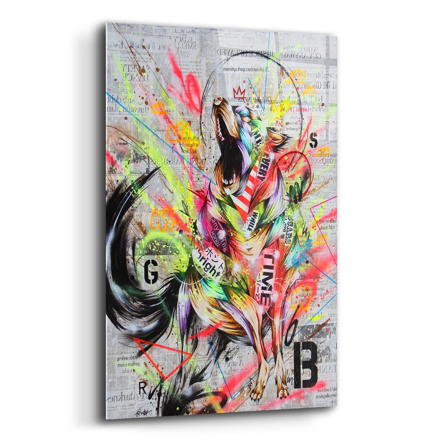 Epic Art 'Rebel' by Taka Sudo, Acrylic Glass Wall Art,12x16