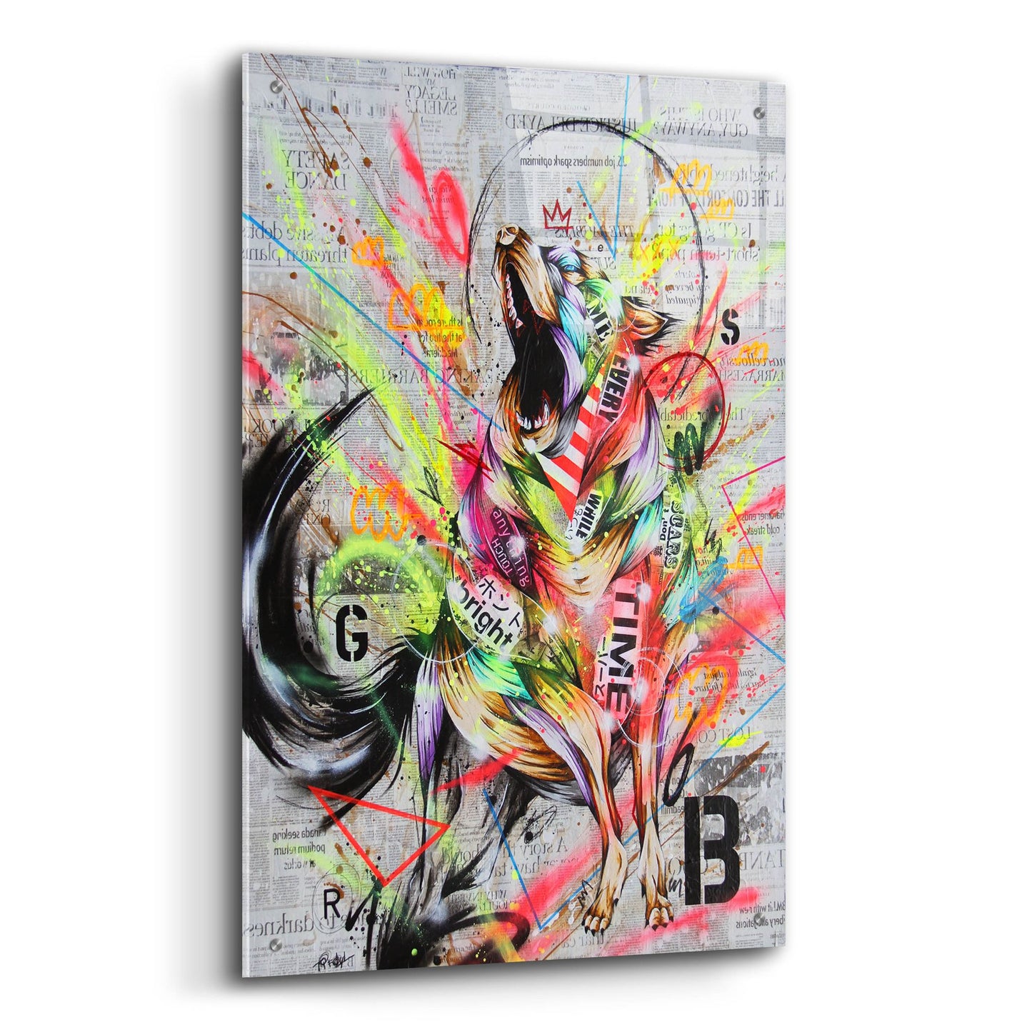 Epic Art 'Rebel' by Taka Sudo, Acrylic Glass Wall Art,24x36