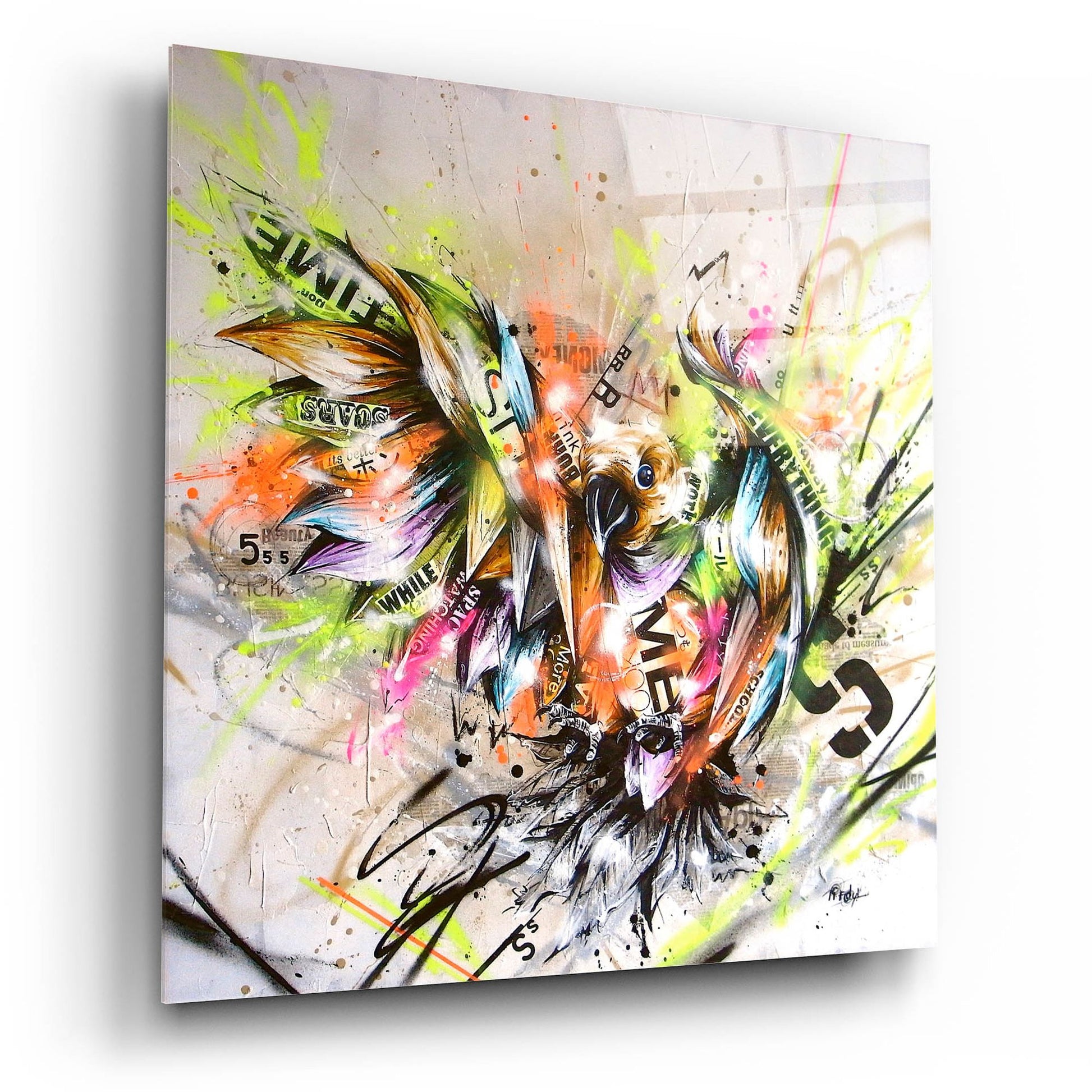 Epic Art 'Sprout' by Taka Sudo, Acrylic Glass Wall Art,12x12