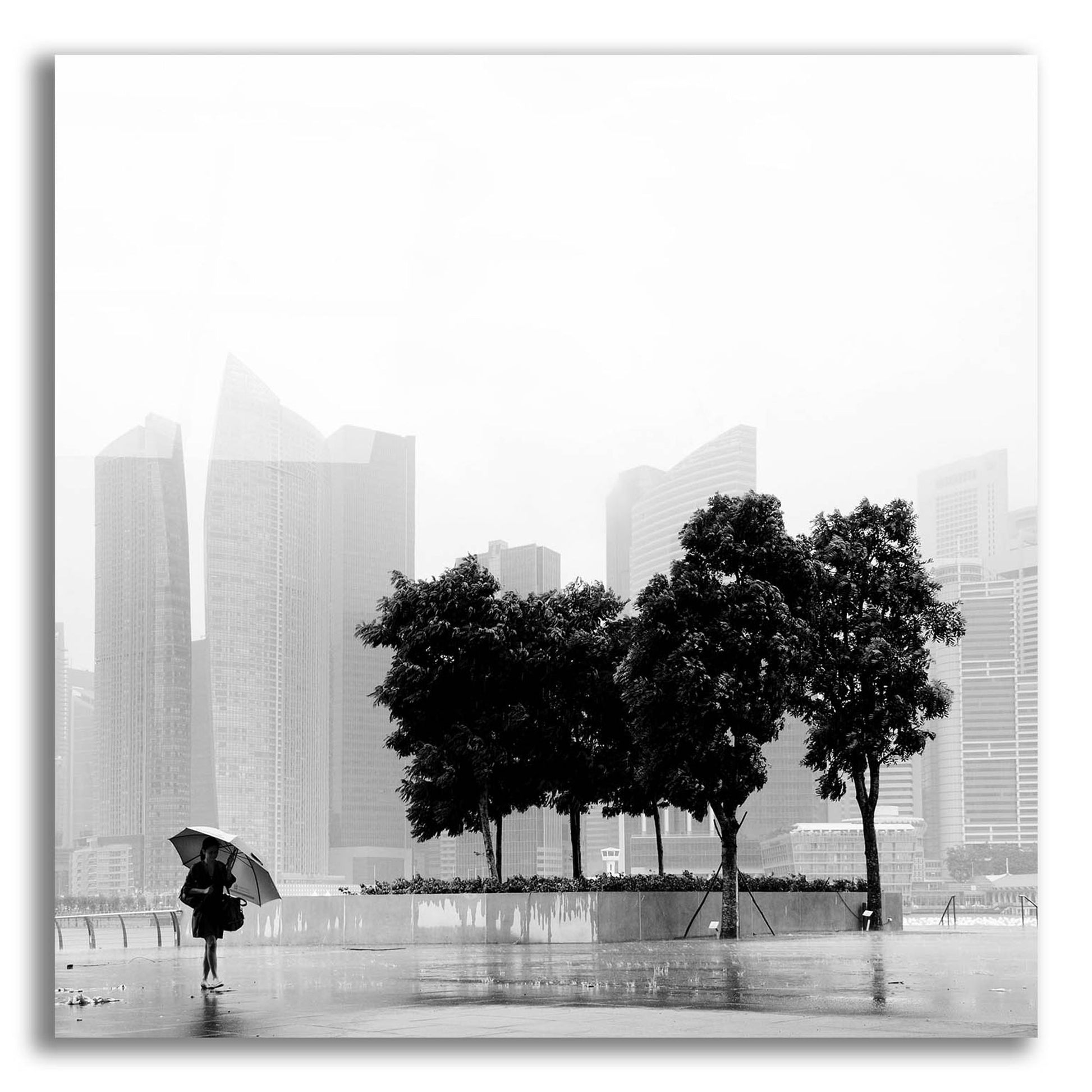 Epic Art 'Singapore Umbrella' by Nina Papiorek, Acrylic Glass Wall Art,12x12