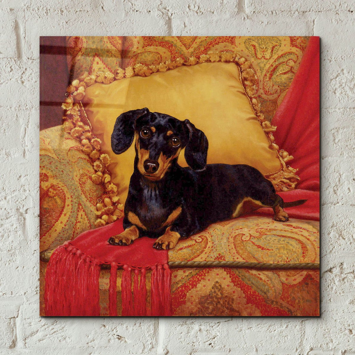 Comfy by Christopher Nick - 12x12 acrylic wall art in a room