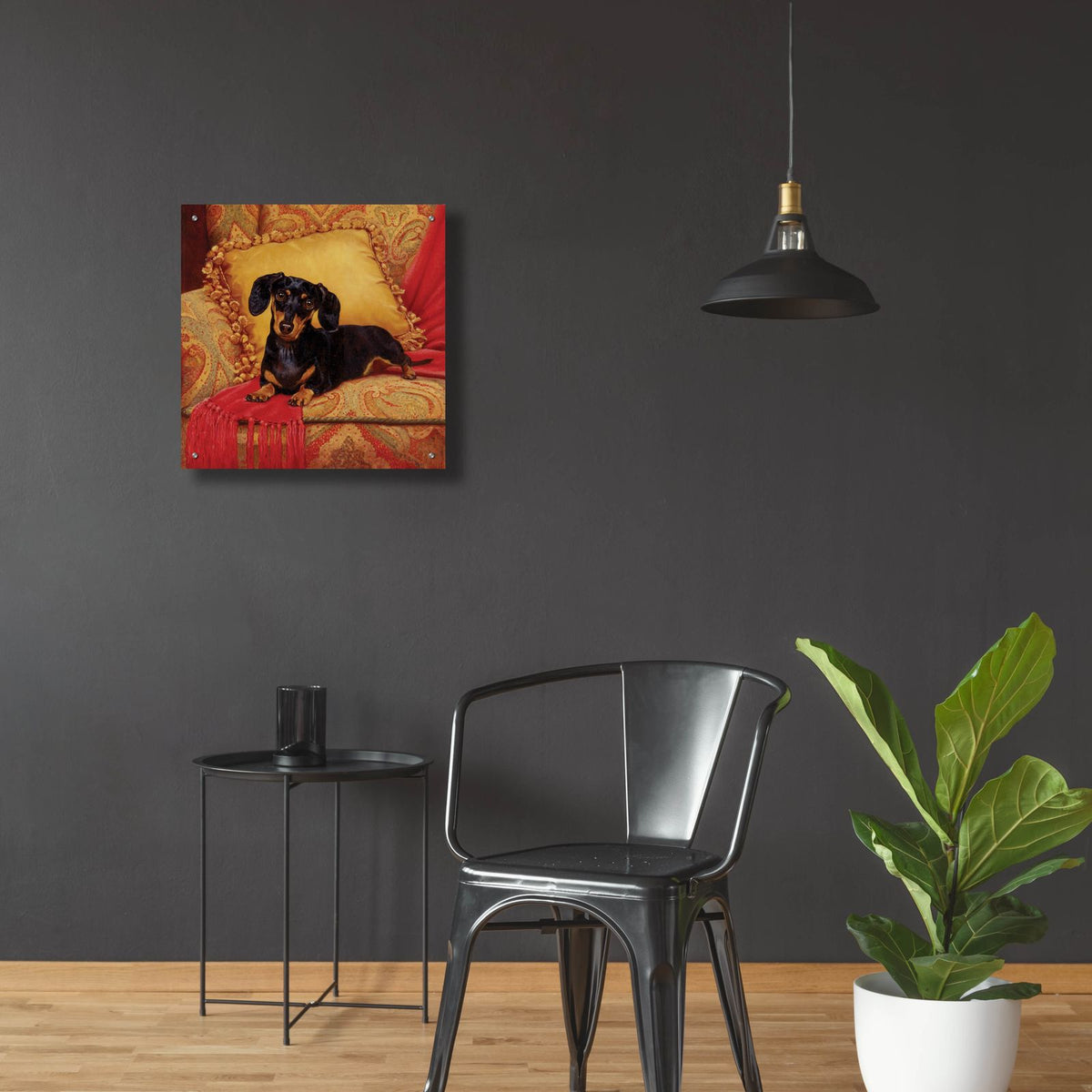 Comfy by Christopher Nick - 24x24 acrylic wall art in a room