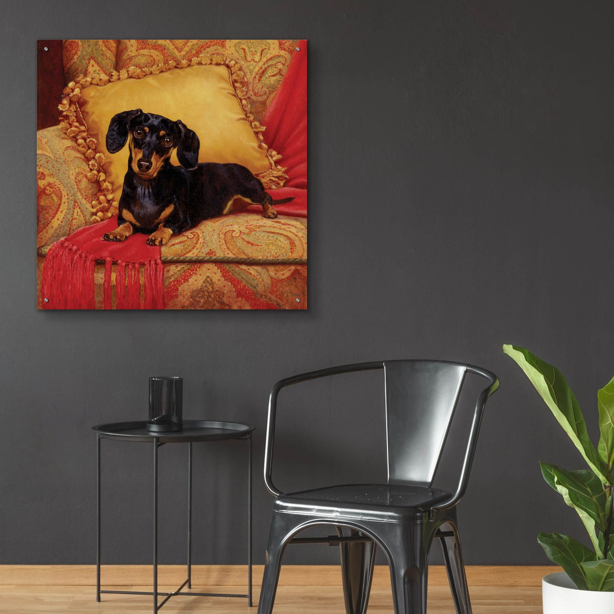 Comfy by Christopher Nick - 36x36 acrylic wall art in a room