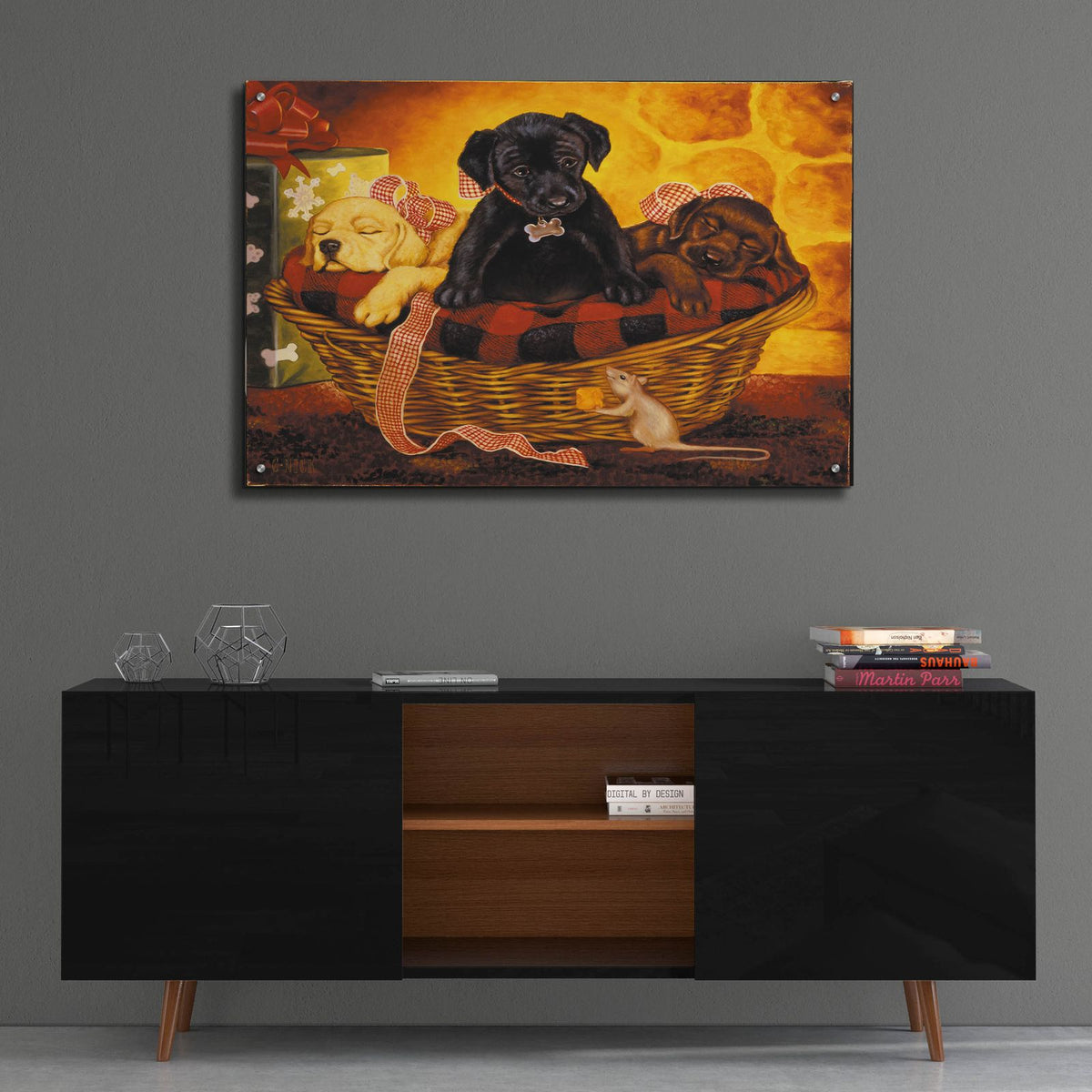 Lab Basket by Christopher Nick - 36x24 acrylic wall art in a room