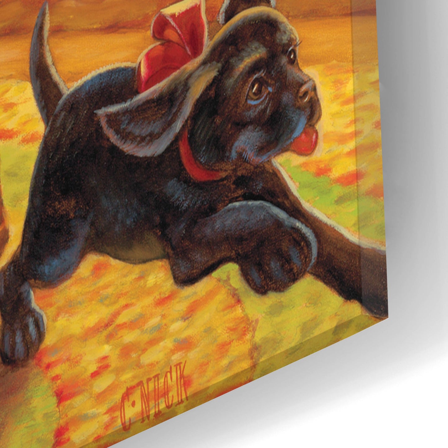 Epic Art 'Santa Pups' by Christopher Nick, Acrylic Glass Wall Art,16x24