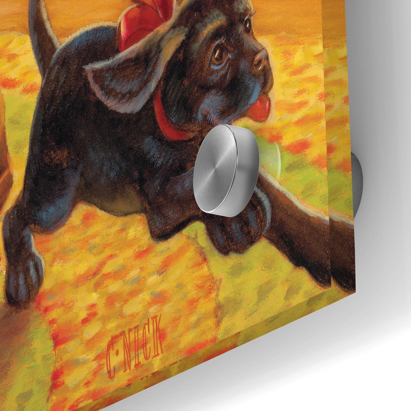 Epic Art 'Santa Pups' by Christopher Nick, Acrylic Glass Wall Art,24x36